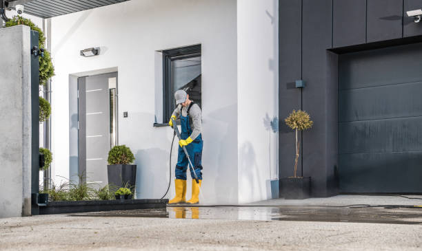 Best Roof Washing  in Nekoosa, WI